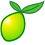 Lime Survey